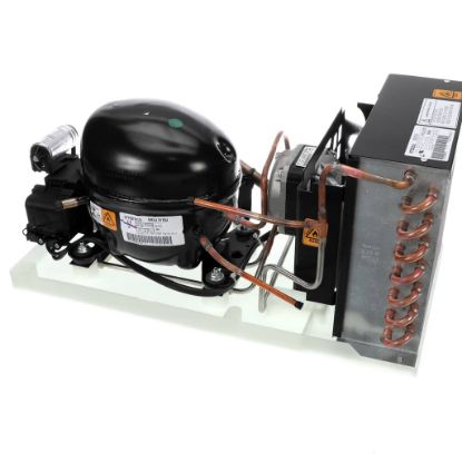 Picture of Hoshizaki 3B0453-01 Condensing Unit #Um2u3115u, Bom# 5153000