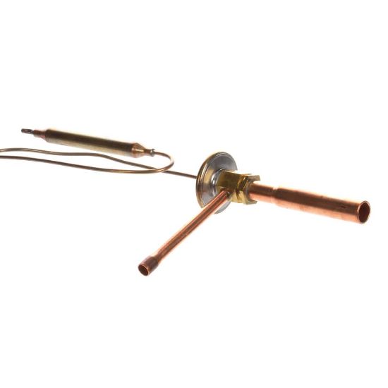 Picture of Hoshizaki 443305-01 Expansion Valve
