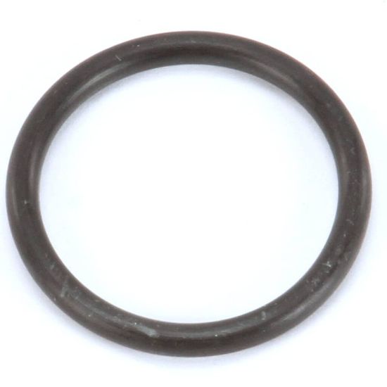 Picture of Hoshizaki 4A1234-01 O Ring