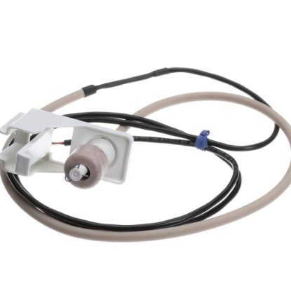 Picture of Hoshizaki 4A7080G01 Float Switch