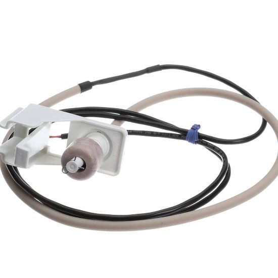 Picture of Hoshizaki 4A7080G01 Float Switch