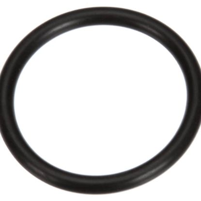 Picture of Hoshizaki 7616-P032 O Ring