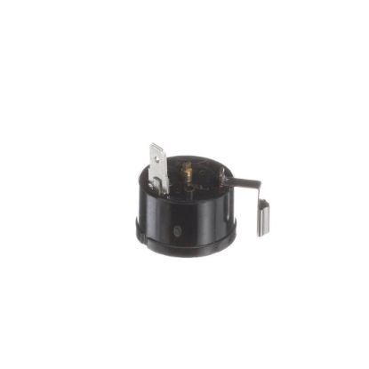 Picture of Hoshizaki P03997-01 Overload Protector