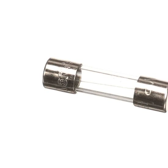 Picture of Hoshizaki P04203-01 P0420301 Fuse
