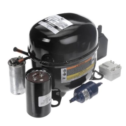 Picture of Hoshizaki SP-5529 Compressor