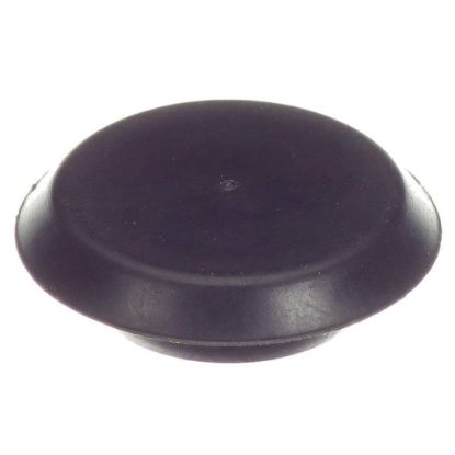 Picture of Jackson 4730-011-60-21 Plug 3/4 R103745 Caplug Hole