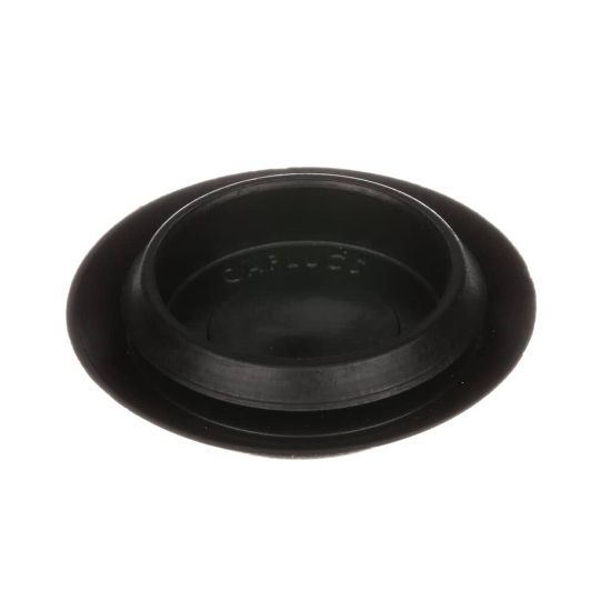Picture of Jackson 5975-004-04-36 Plug 9654 Flush Mount 875