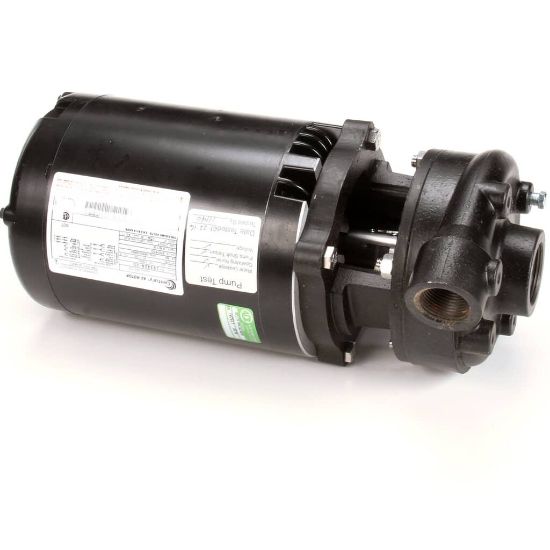 Picture of Jackson 6105-121-64-21 Pump & Motor Assembly 460V-tempstar