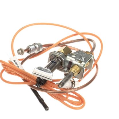 Picture of Jade 3000014113 Pilot W/elect&thermo Assembly