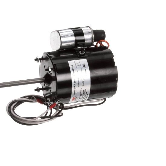 Picture of Kolpak 12051E Motor 1/10Hp 115V 50/60Hz