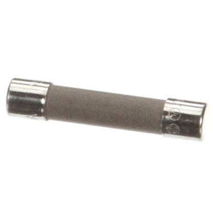 Picture of Lang 2E-30900-01 Fuse