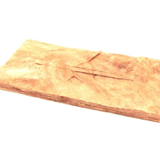 Picture of Lang 2H-XL-424 Element Pan Insulation