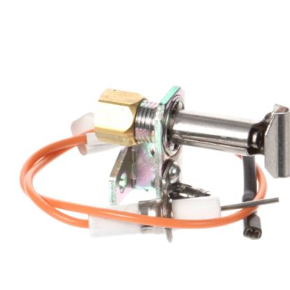 Picture of Lang 2J-80201-25 Plt Lt Brnr Gei Lt 12 3S2