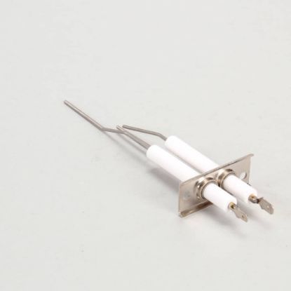 Picture of Lang 2J-80302-05 Dsi Electrode Assembly