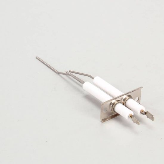Picture of Lang 2J-80302-05 Dsi Electrode Assembly