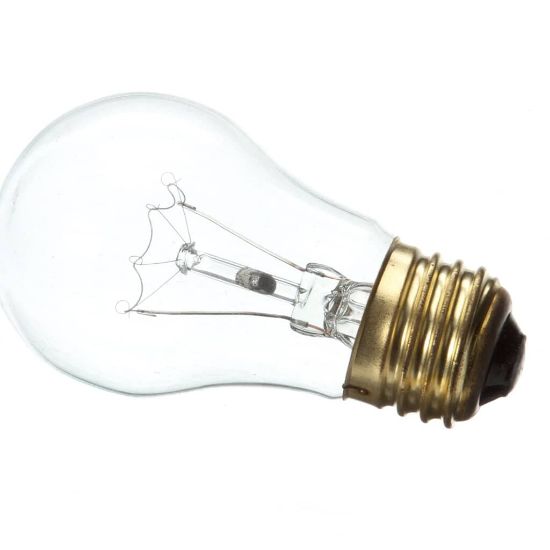 Picture of Lang 2S-31602-08-1 250V Bulb