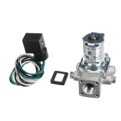 Picture of Lang 2V-80502-01 Solenoid Valve 120Vac