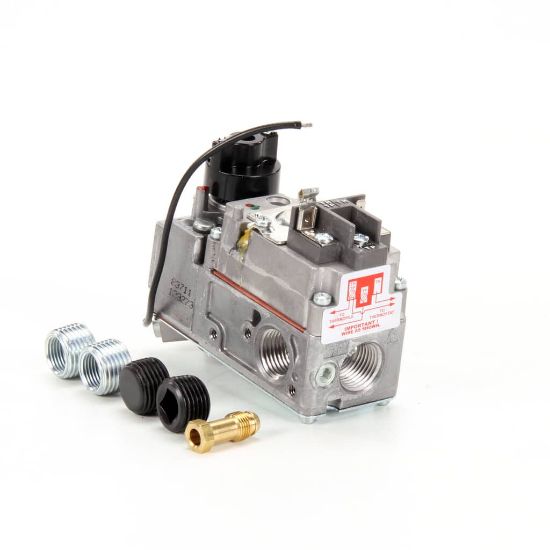 Picture of Lang 2V-80505-01 Comb Valve Gas Grid