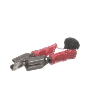 Picture of Lang Q9-40705-10 Suppressor-lo Volt 24 P