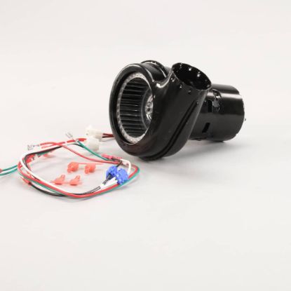 Picture of Lincoln 369366 Kit Burner Blower Mtr