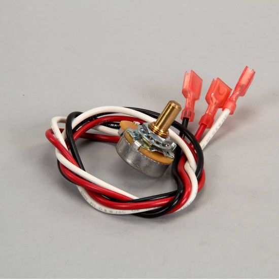 Picture of Lincoln 369520 Temperature Control