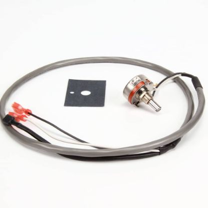 Picture of Lincoln 369809 Pot Conveyor Assembly Adv