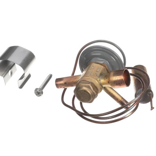 Picture of Lennox 29M11 Expansion Valve 4 Ton