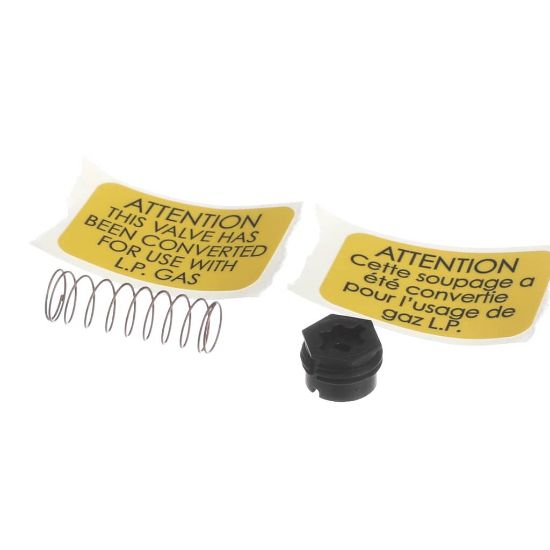 Picture of Lennox 29M85 Kit-valve Spring(nat To Lp) 1 Sprng&scrw