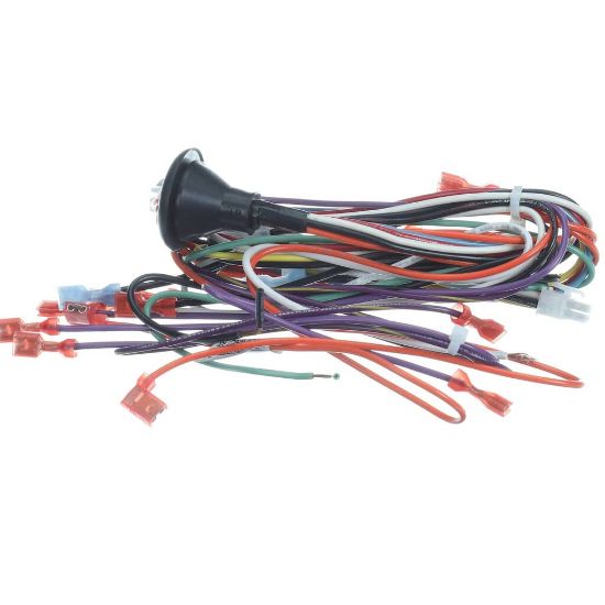Picture of Lennox 33M56 20438201 Harness-wiring