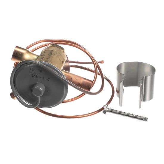 Picture of Lennox 79J75 Expansion Valve