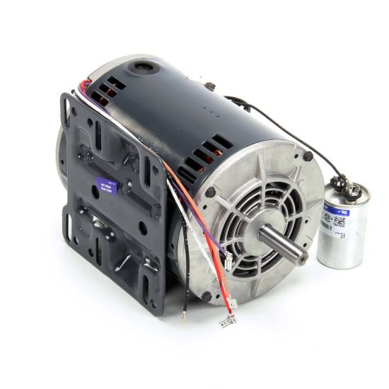Picture of Middleby 27381-0069 Motor1 Hp 208/230 50/60Hz 1Ph