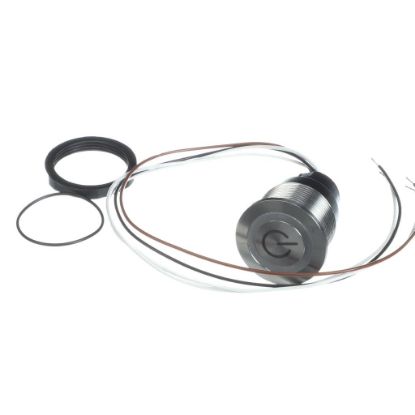 Picture of Middleby 74916 Switch, Schurter 3-123-987