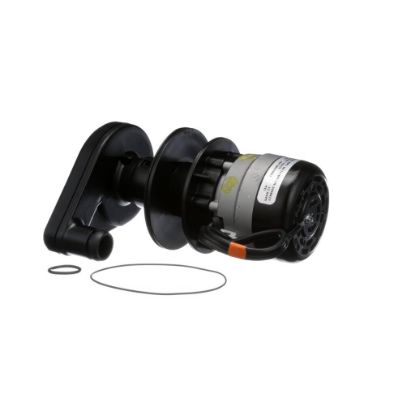 Picture of Manitowoc Ice 2008929-ORA Water Pump 115/60/1