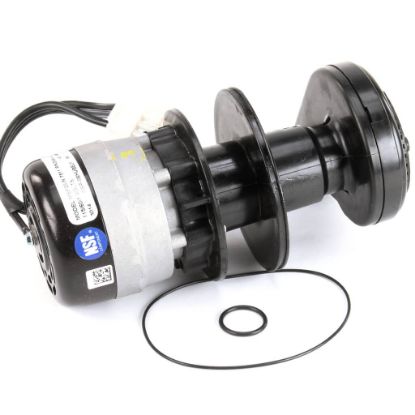 Picture of Manitowoc Ice 2008489 Water Pump 115V 60Hz