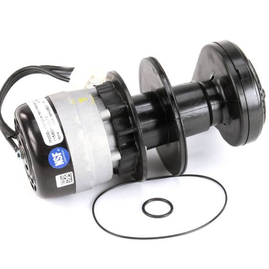 Picture of Manitowoc Ice 2008489 Water Pump 115V 60Hz