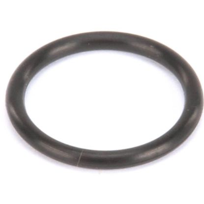 Picture of Manitowoc Ice 5004679 O-ring, Water Pump Outlet
