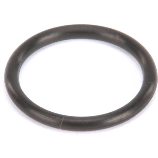 Picture of Manitowoc Ice 5004679 O-ring, Water Pump Outlet