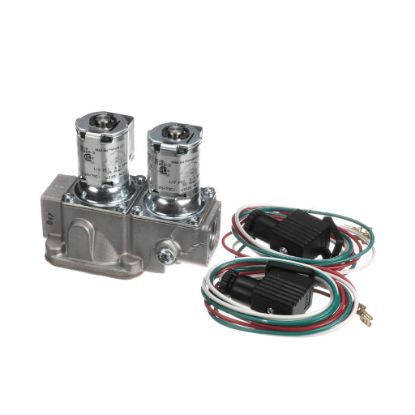 Picture of Montague 1069-3 Dual Safety Solenoid--mv Pv