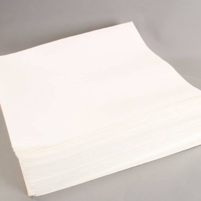 Picture of Pitco A6667101 Filter Envelopes- 100