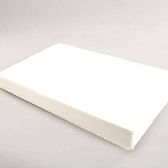 Picture of Pitco A7025301 Filters Oil Env 14-1/4X22-1/2-inch