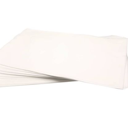 Picture of Pitco A7044705 Fltr Ppr 17.5 X 28 Rayo N