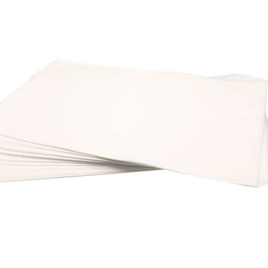 Picture of Pitco A7044705 Fltr Ppr 17.5 X 28 Rayo N