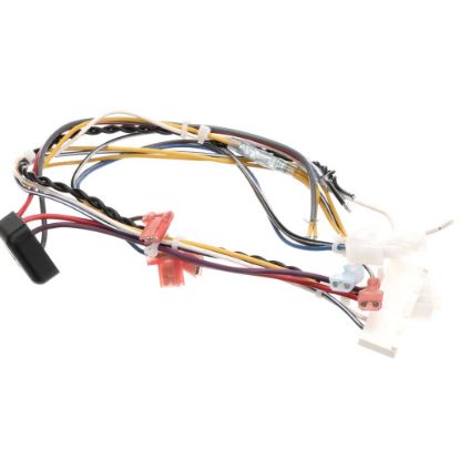 Picture of Pitco B6782501-C Wrg Bzl Dig2 W/dc Srtg Srte