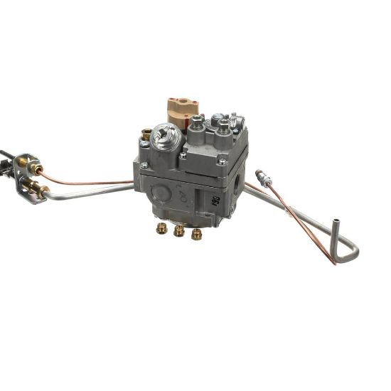 Picture of Pitco B8023481 Pgconv Ce 35C+ Lp To Nat Ie