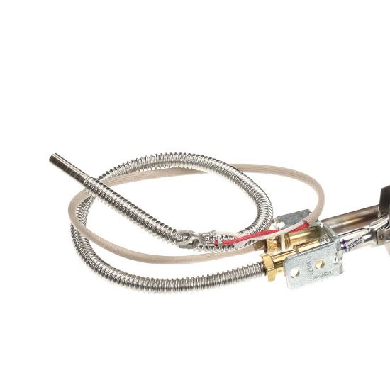 Picture of Pitco B8040702-C Pg,plt Assembly Mv Lp Econo