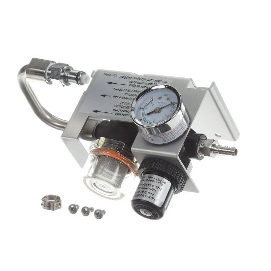 Picture of Prince Castle 625-253SPT Assembly,regulator W/strainer
