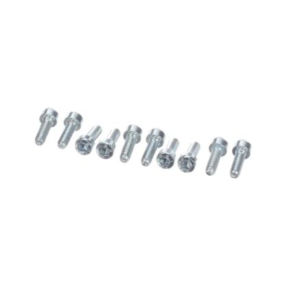 Picture of Rational 10.00.061P Pan Head Screw Torx T20 M4x12