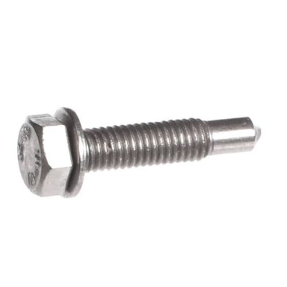 Picture of Rational 10.00.109P Hex Screw M5x23