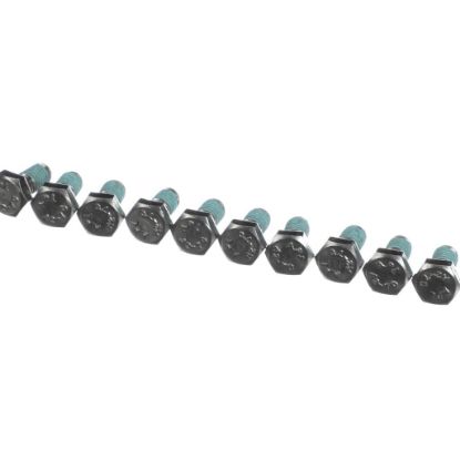 Picture of Rational 10.00.698P Hex Screw M6x12 W. Precoat 85