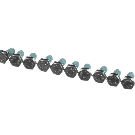 Picture of Rational 10.00.698P Hex Screw M6x12 W. Precoat 85